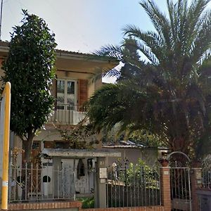 Seldas House